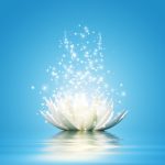 start meditating successfully with surat shabd yoga